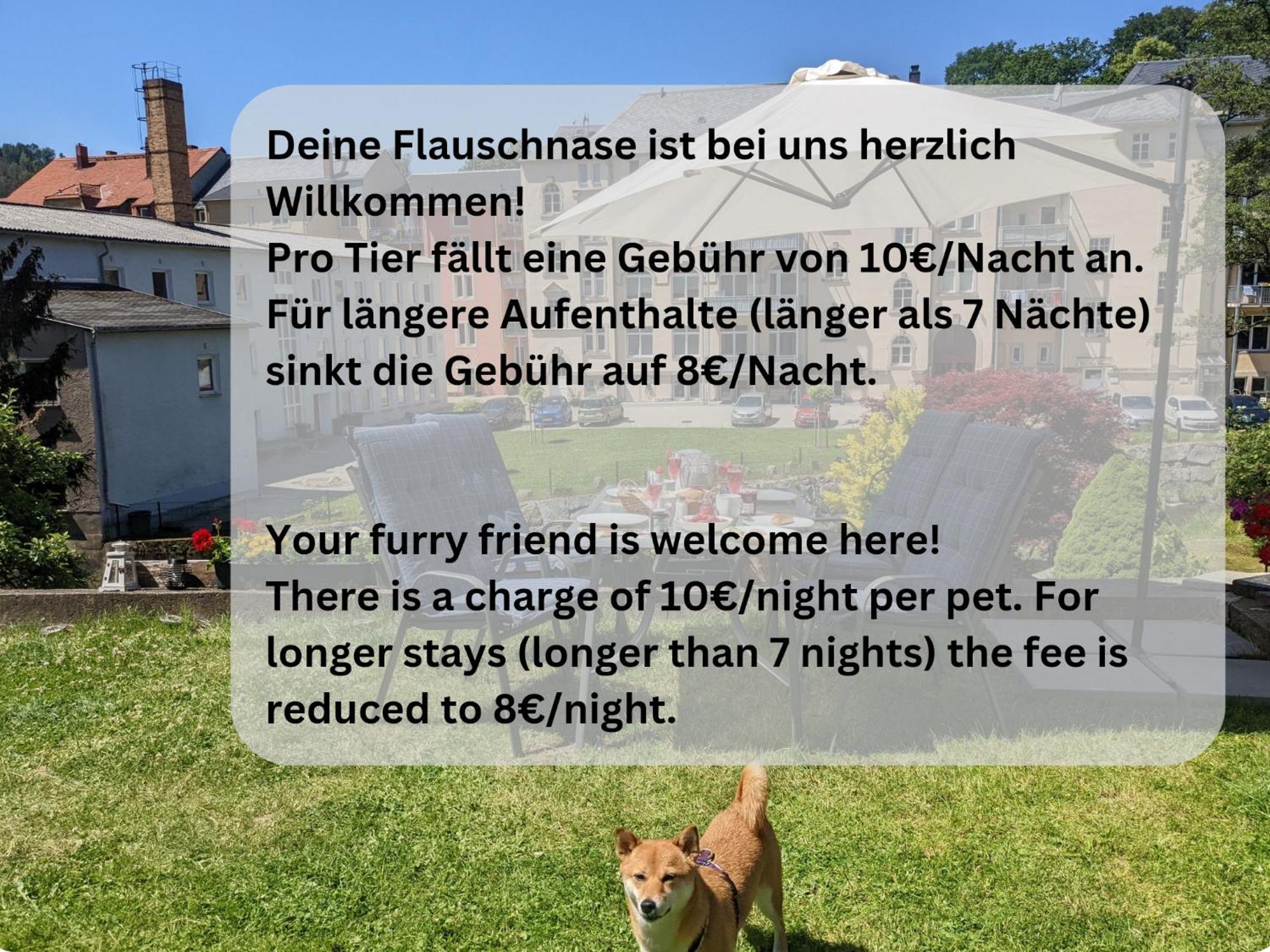 Hw1 - Urlaubsmagie - Sauna&Whirlpool Zum Entspannen Sebnitz Exterior foto
